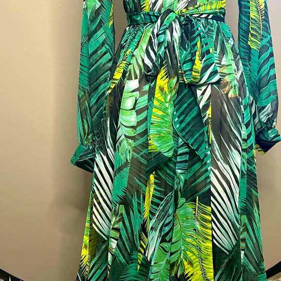 Jungle Print Long-Sleeve Maxi Dress - Picture 8 of 12
